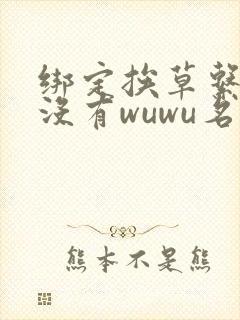 绑定挨草系统后没有wuwu名字封面