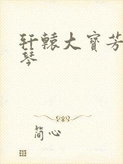 轩辕大宝芳菲雅琴封面