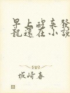 早上醒来发现巨龙还在小说