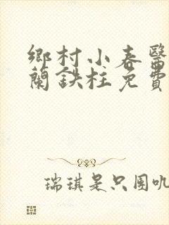 乡村小春医王淑兰铁柱免费阅读全文