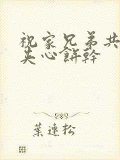 祝家兄弟共享后夹心饼干封面