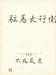 驻马太行侧封面