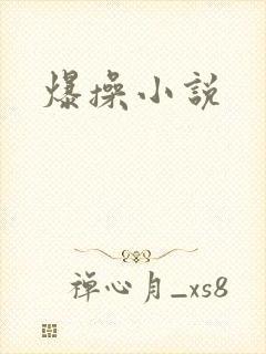 爆操小说