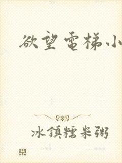 欲望电梯小说