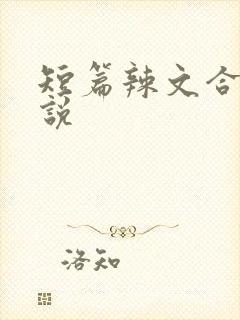 短篇辣文合集小说封面