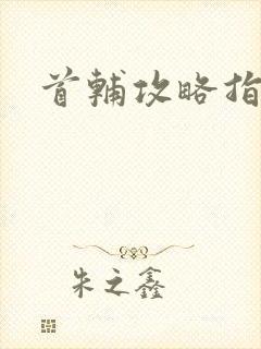 首辅攻略指南