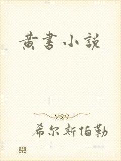 黄书小说