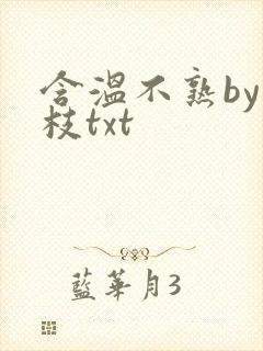 含温不熟by词枝txt封面