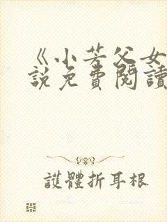 《小芳父女》小说免费阅读封面