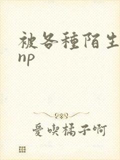 被各种陌生人 np