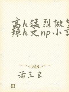 高h猛烈做哭高辣h文np小说封面