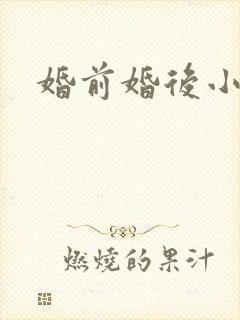 婚前婚后小说
