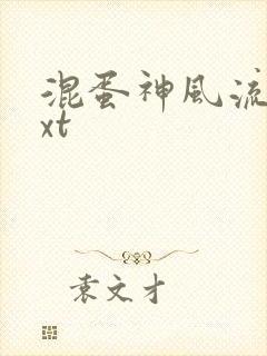 混蛋神风流史txt封面