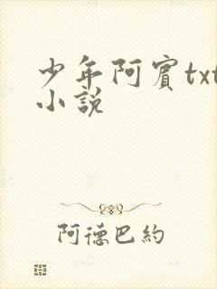 少年阿宾txt小说