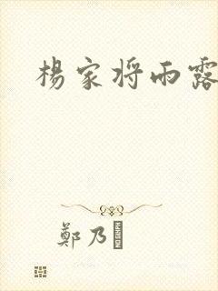 杨家将雨露均沾封面