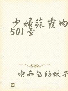 少妇苏霞肉欲第501章