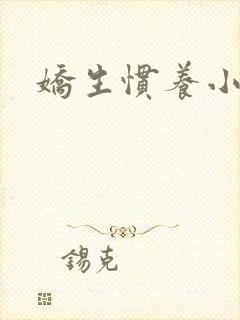 娇生惯养小说