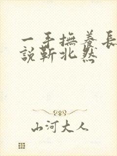 一手抚养长大小说靳北然封面