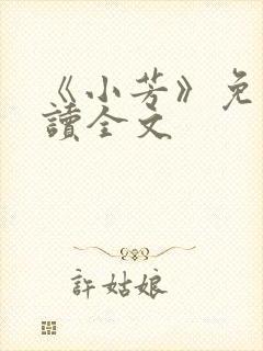《小芳》免费阅读全文