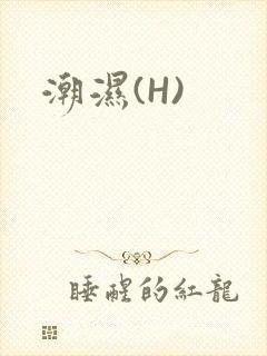 潮湿(H)封面