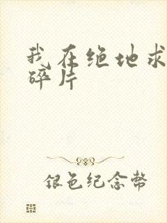 我在绝地求生捡碎片