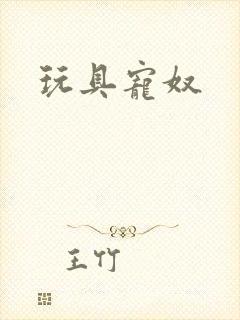 玩具宠奴封面