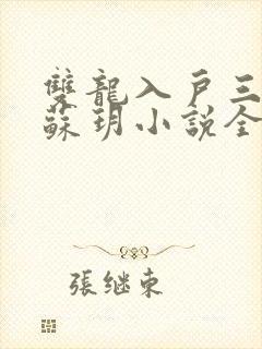 双龙入户三人行苏玥小说全文阅读封面