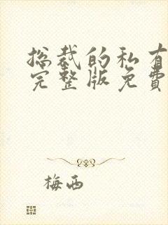 总裁的私有宝贝完整版免费阅读