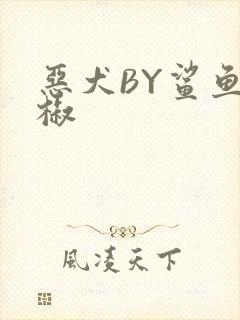 恶犬BY鲨鱼辣椒