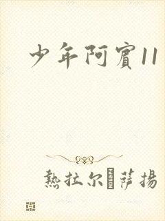 少年阿宾11封面