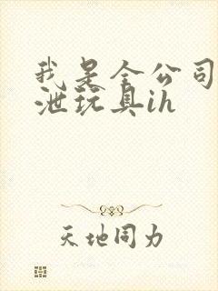 我是全公司的发泄玩具ih