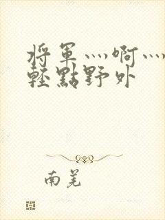 将军灬啊灬啊灬轻点野外封面