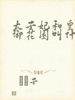 太子妃和皇帝在御花园叫什么小说