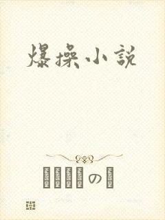 爆操小说