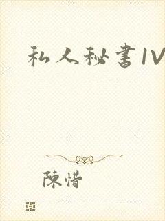 私人秘书1V1