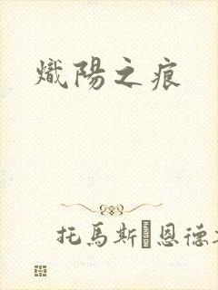 炽阳之痕封面