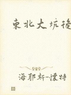 东北大坑后续2