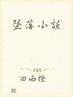 坠落小说封面