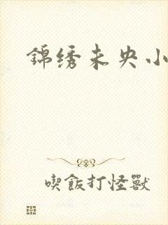 锦绣未央小说