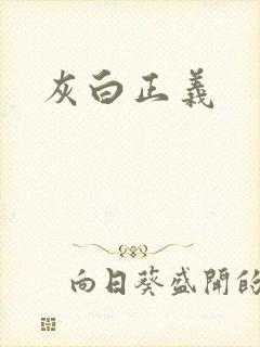 灰白正义