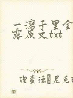 一泻千里金银花露原文txt