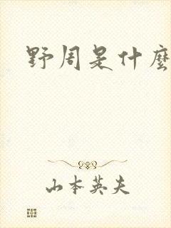 野周是什么意思封面