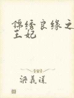 锦绣良缘之北地王妃