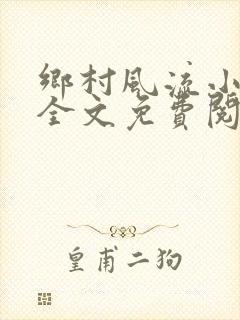 乡村风流小傻子全文免费阅读封面
