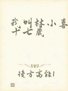 我叫林小喜今年十七岁
