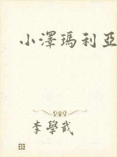 小泽玛利亚作品