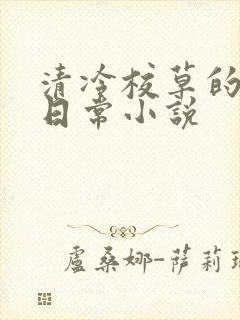 清冷校草的堕落日常小说封面