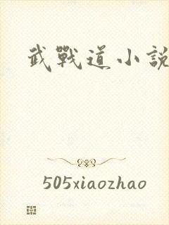 武战道小说封面
