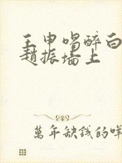王申喝醉白洁被赵振墙上