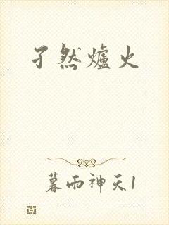 孑然炉火